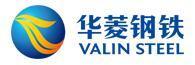 湖南华菱钢铁股份有限公司