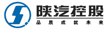 陕西汽车控股集团有限公司