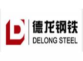 上海德龙钢铁集团有限公司